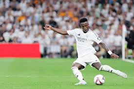 成年职业球 成年职业球